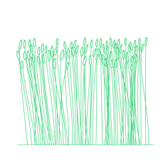 Plants Agriculture Wheat Sketch Style Svg Vector, Free Vectors File